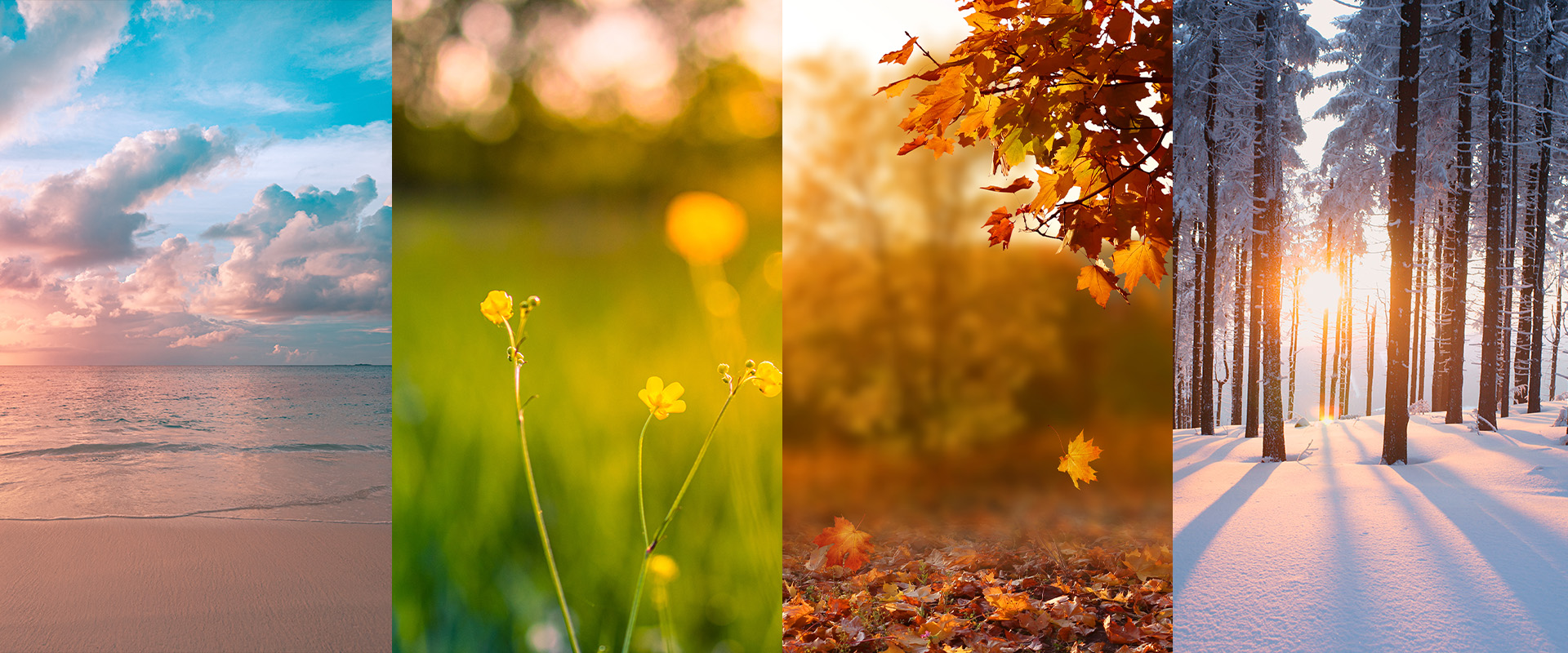 Do I Need A Climate Controlled Storage Unit? Learn More Today